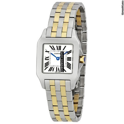 Cartier Santos de Cartier...