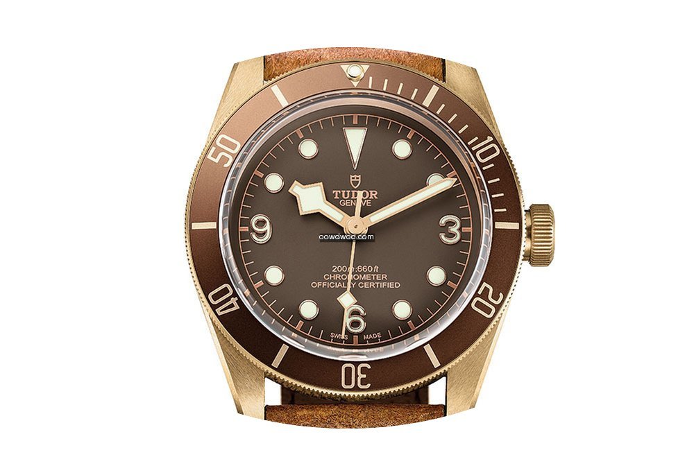Tudor Heritage Black Bay Bronze...