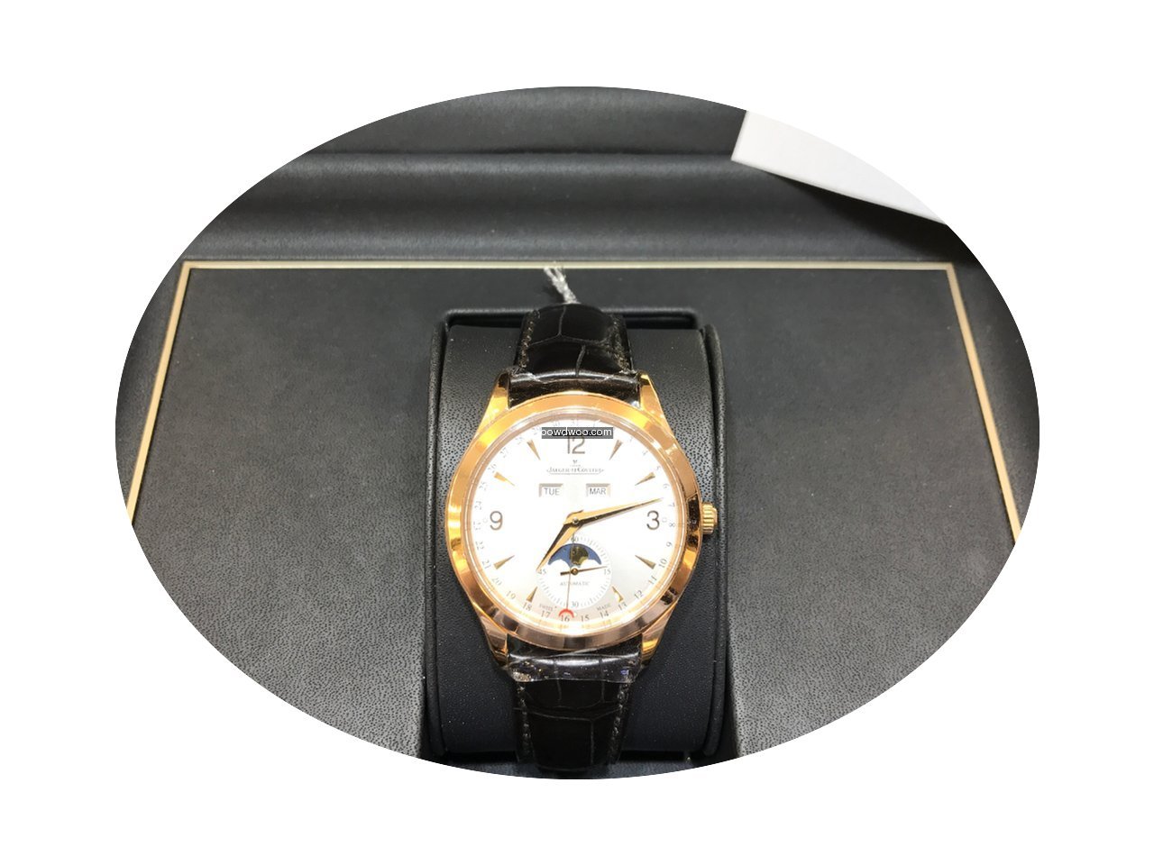Jaeger-LeCoultre Q1552520 Master Calenda...