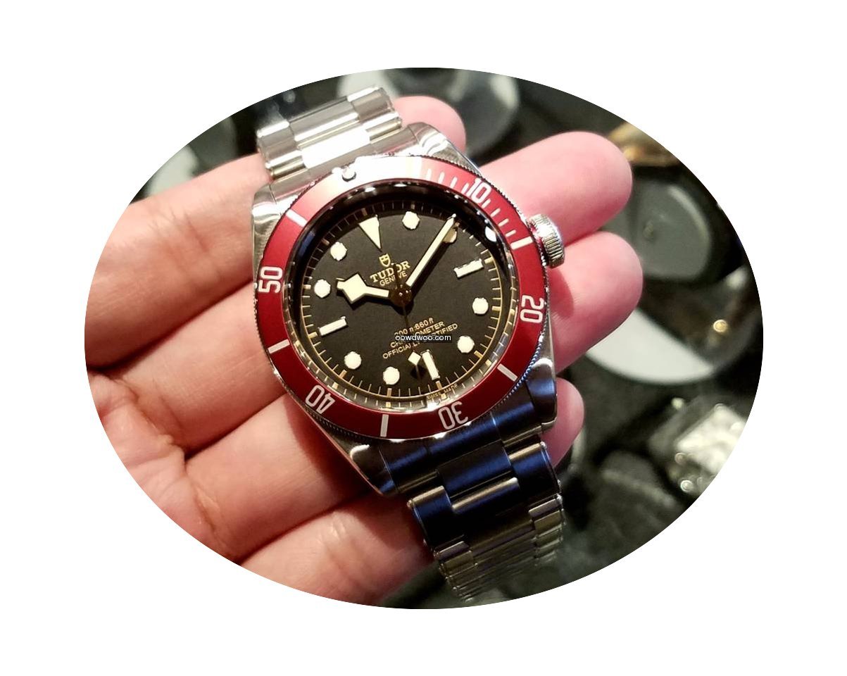 Tudor 79230R Steel Bracelet (2016 Novelt...