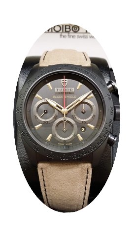 Tudor Fastrider Black Shield GOLD 42000C...