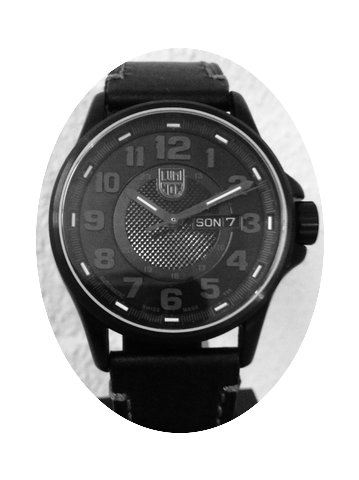 Luminox Field Automatik...