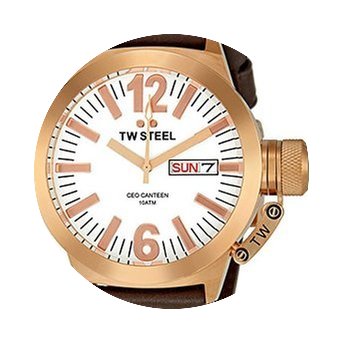 TW Steel canteen rose gold...