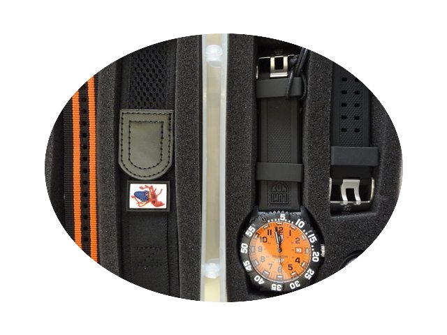 Luminox Scott Cassell UVP Faststrap spec...