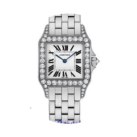 Cartier Santos Demoiselle Ladies WF9004Y...