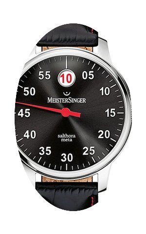 Meistersinger Salthora Meta incl 19% MWS...