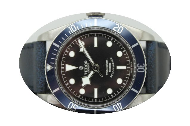 Tudor Heritage Black Bay...