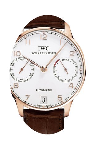 IWC 500113...