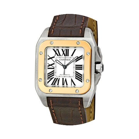 Cartier Santos de Cartier...