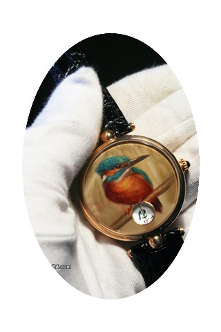 Angular Momentum Kingfisher Bird 41mm...