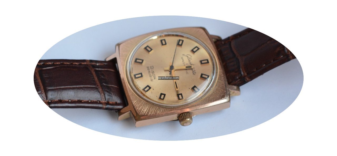 Glashütte Original Spezimatic Bison...