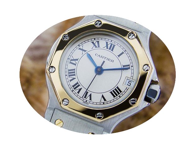 Cartier Santos Quartz 18k And Stainless ...