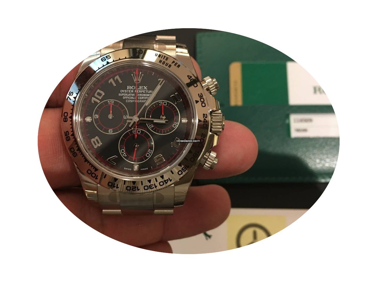 Rolex 勞力士 (Rolex) 116509 Daytona W...