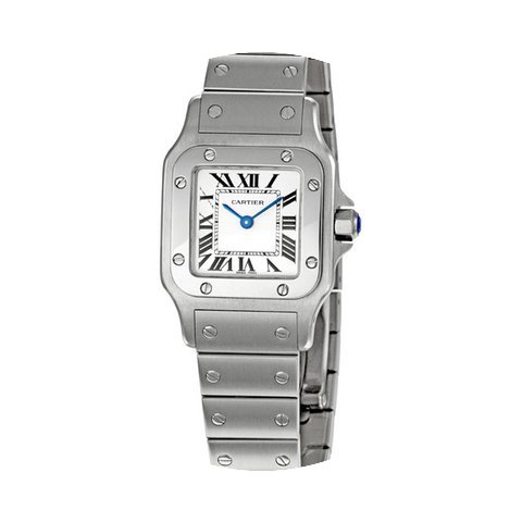 Cartier Santos de Cartier...
