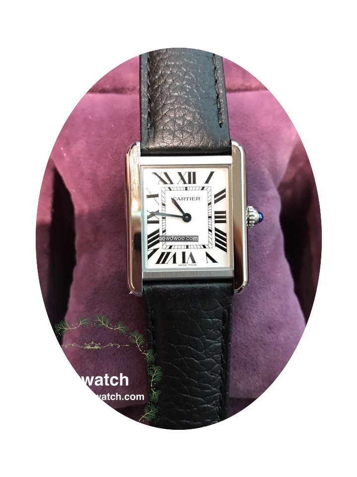 Cartier wsta0030...