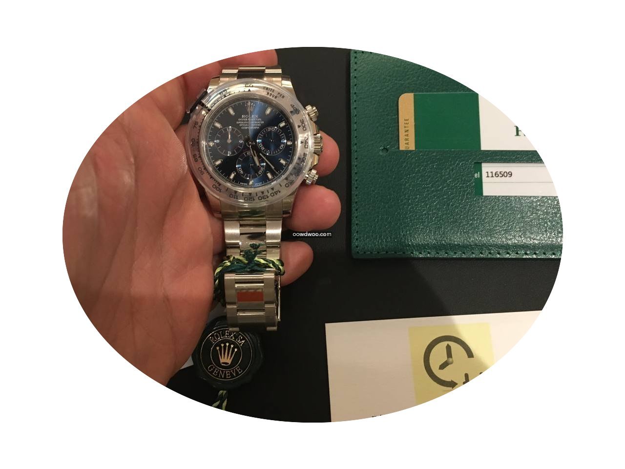 Rolex 勞力士 (Rolex) 116509 Daytona W...