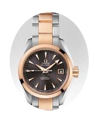 Omega 231.20.30.20.06.001...