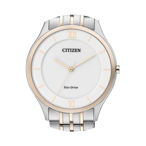 Citizen Elegant Eco Drive Herrenuhr AR00...