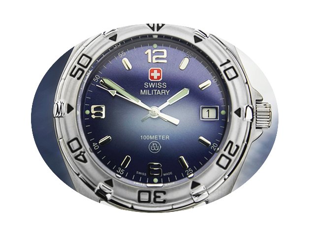 Swiss Military 2463M Quartz Diver...