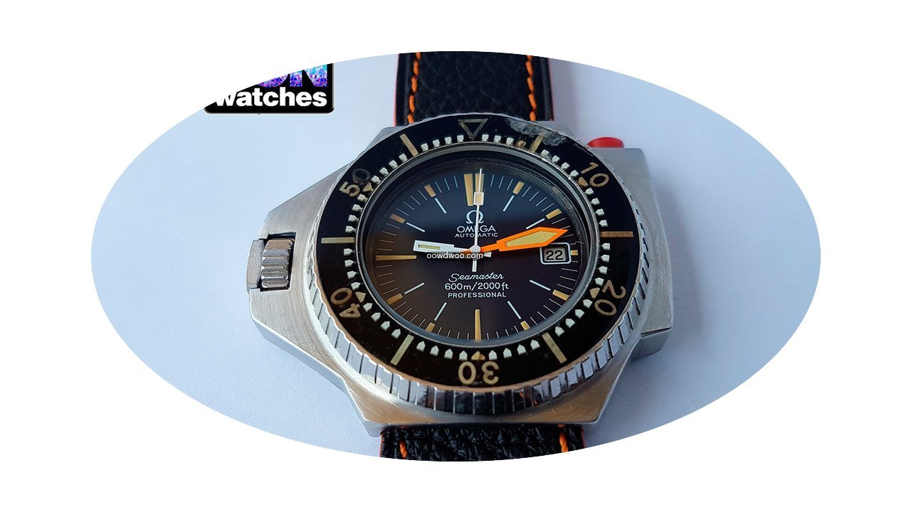 Omega Seamaster PloProf seamaster 600 vi...