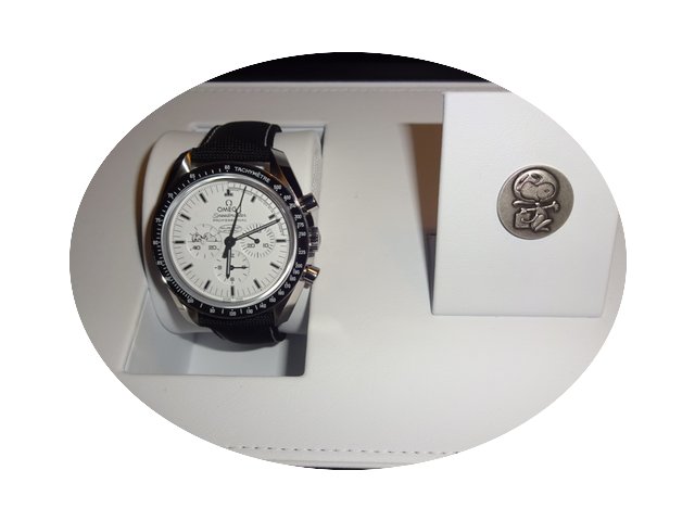 Omega Speedmaster Apollo 13 Silver Snoop...