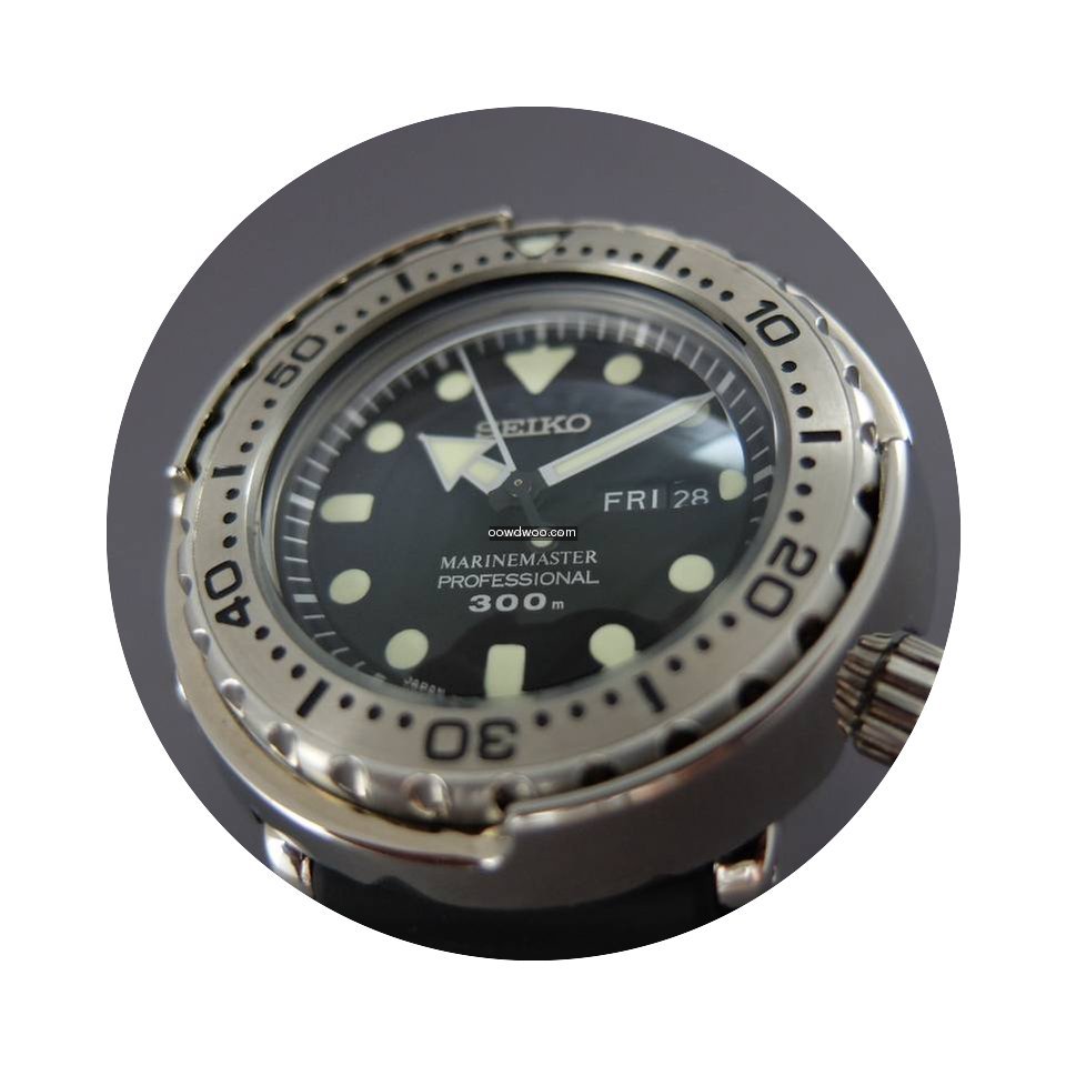 Seiko SBBN033 Prospex Marinemaster Profe...