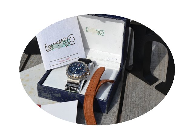 Eberhard & Co. FRECCE TRICOLORI AUTO...
