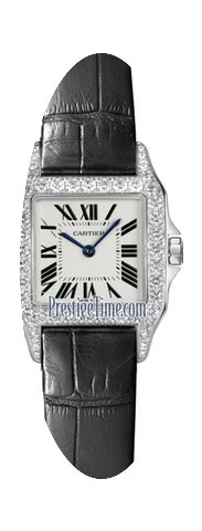 Cartier Santos Demoiselle - Mini Ladies ...