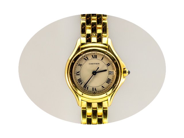 Cartier Panthère Cougar - Gold 750 - Go...