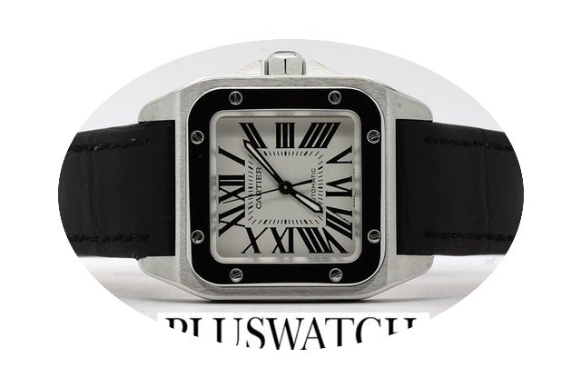 Cartier Santos 100 Medium Like New W2010...