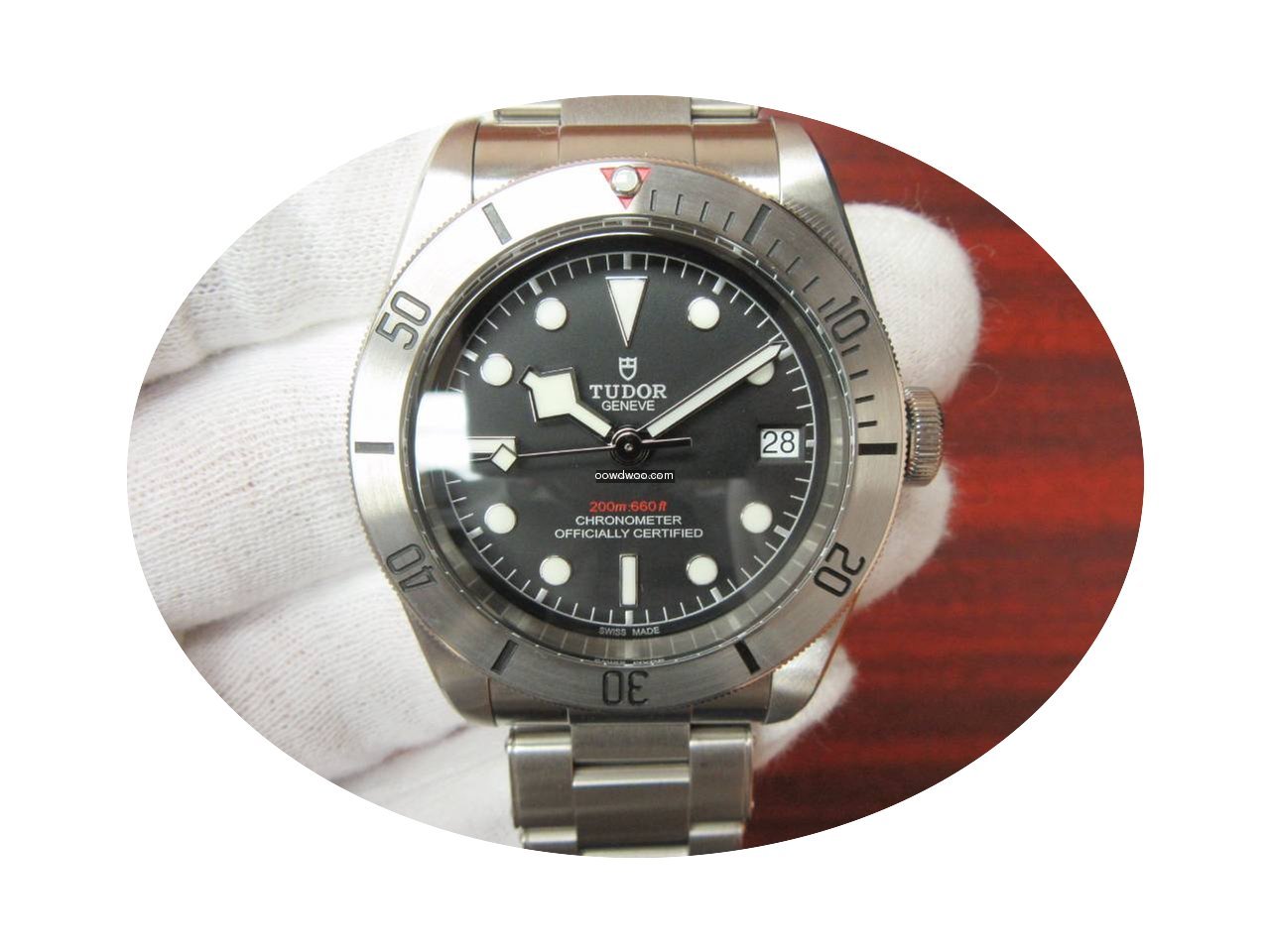 Tudor Heritage Black Bay Steel...