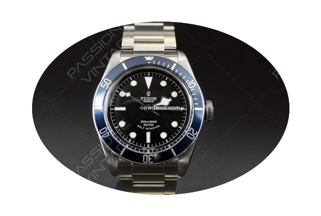 Tudor Heritage black bay blue bezel new ...