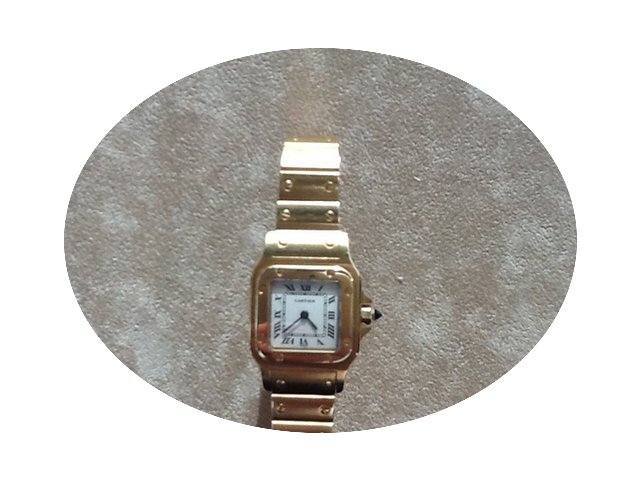 Cartier Santos...