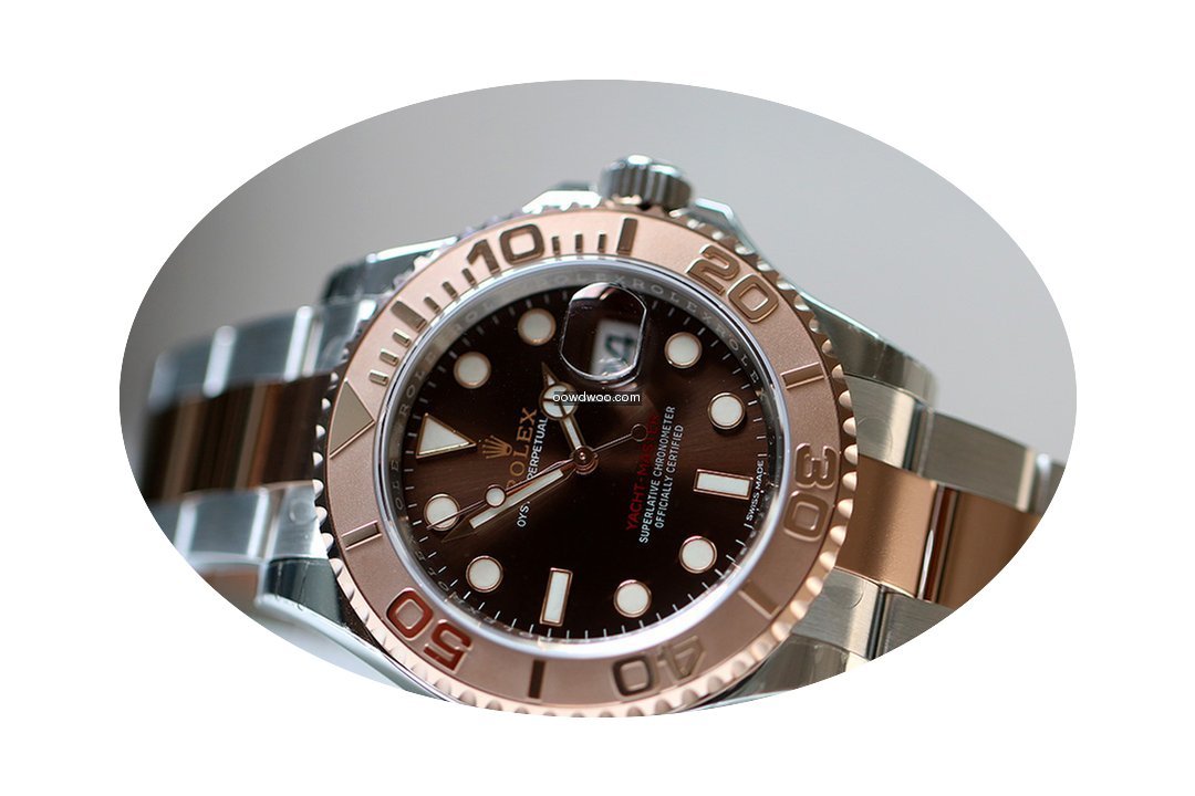 Rolex YACHT MASTER chocolate dial 2017 F...