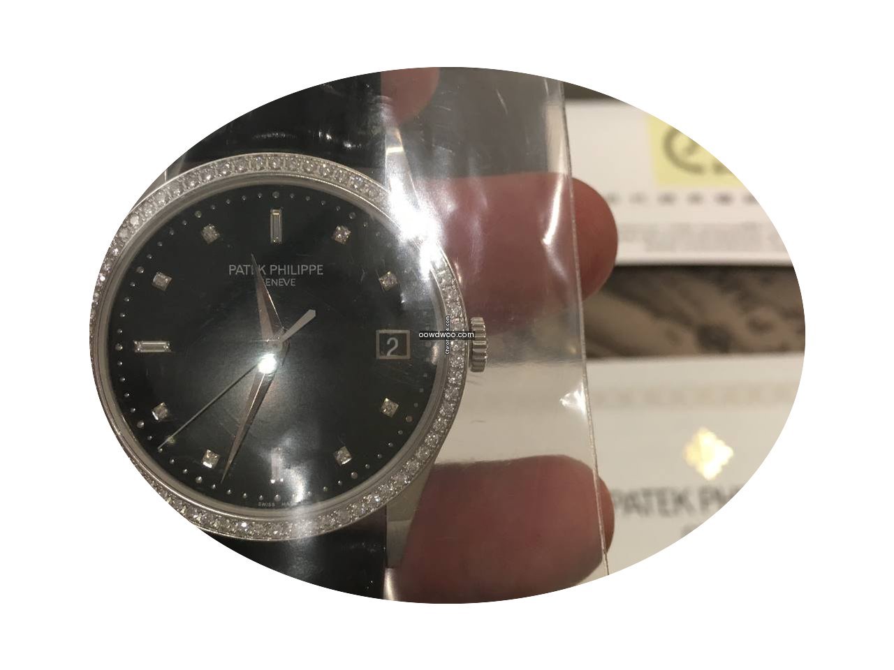 Patek Philippe 百達翡麗 (Patek Phili...