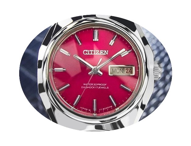 Citizen Mens Vintage Diashock 17 Jewels ...