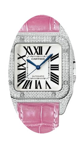 Cartier Santos de Cartier...