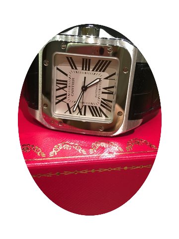 Cartier Santos 100 XL Large W20076x8...
