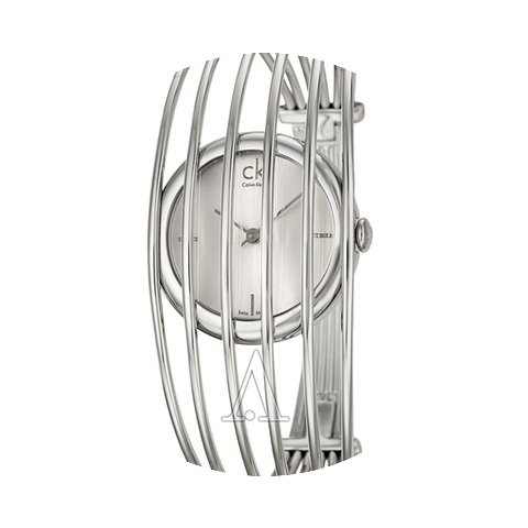 ck Calvin Klein Women's Fly Watch...