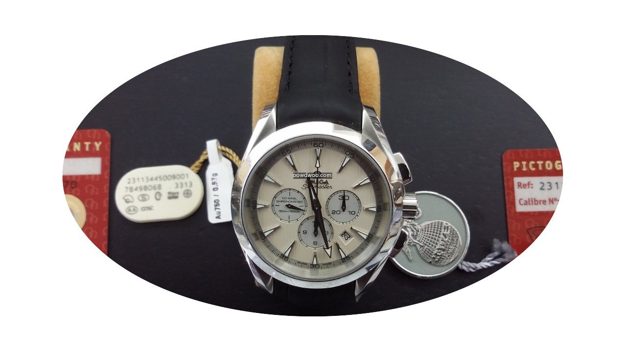 Omega Seamaster...
