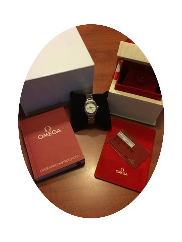 Omega Seamaster Aqua Terra...