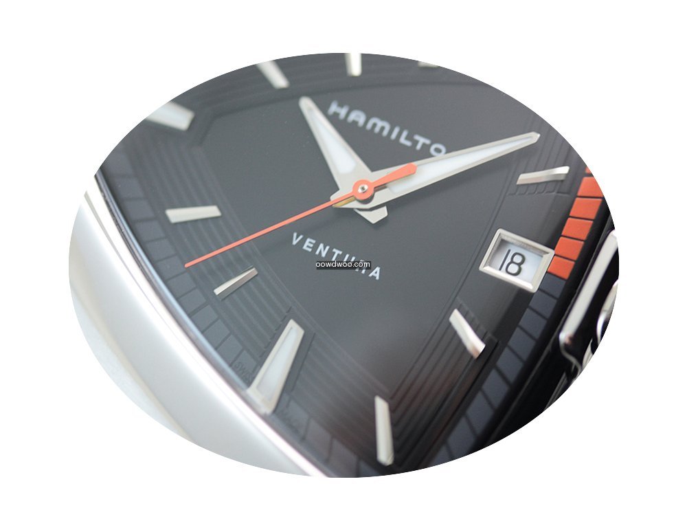Hamilton Men's Ventura Elvis80 Quartz St...