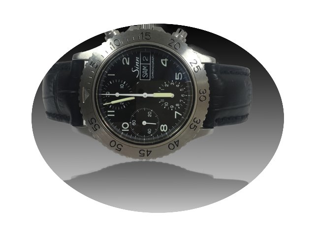 Sinn Day Date Chrono. Diver 256...