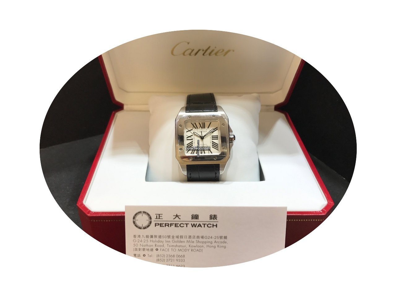Cartier W20106X8 Santos 100...