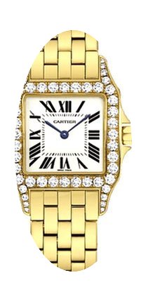 Cartier Santos de Cartier...