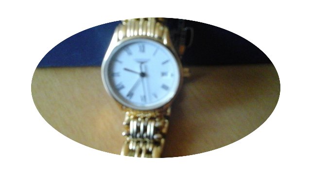 Longines L4.259.212.8 Quartz...
