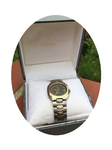 Omega Seamaster Titane Quartz 120m...