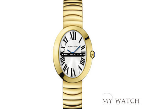 Cartier - W8000008...