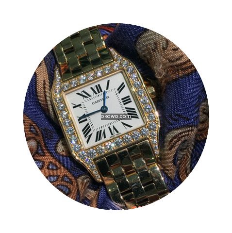 Santos Demoiselle Ref. No. WF9007Z8; Pin...