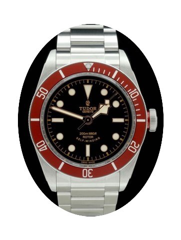 Tudor Heritage -Black Bay- Ref.: 79220r ...